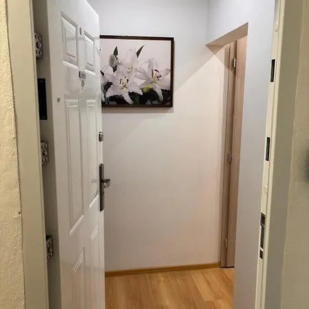 Tip Apartment